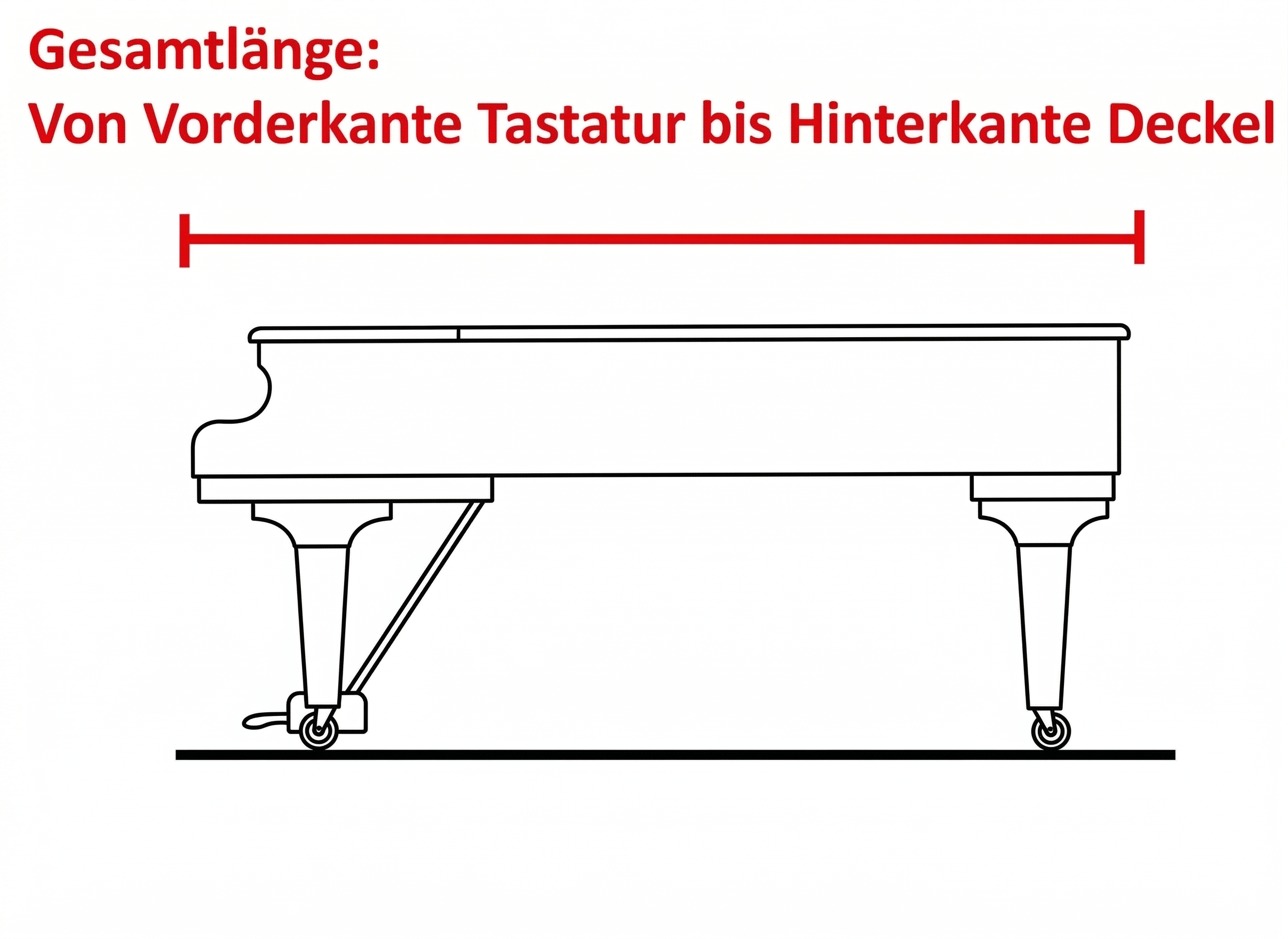 Flügel Länge Messung